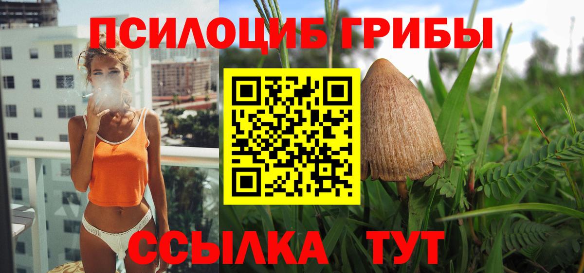 Галлюциногенные грибы мухоморы  Галлюциногенные грибы Psilocybe  Железноводск  Вход с VPN 